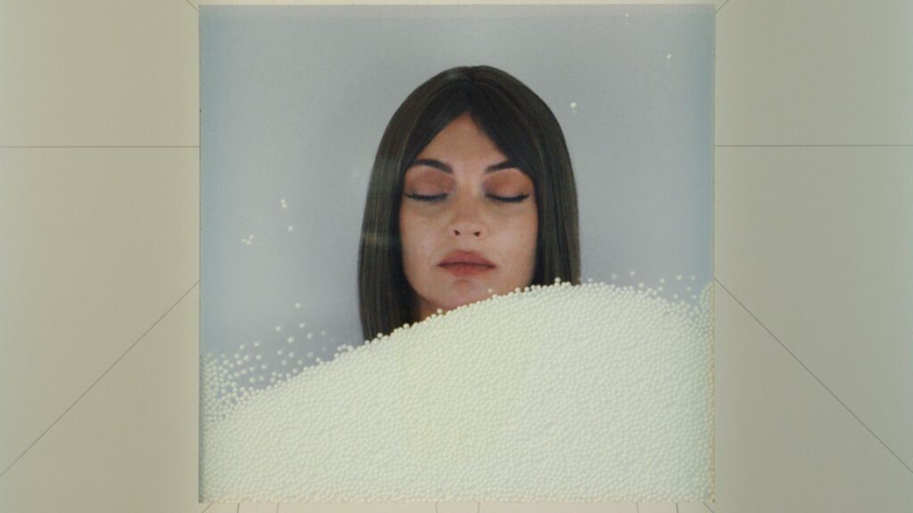 leonardo-webstill3